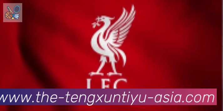 腾讯体育直播合作伙伴
